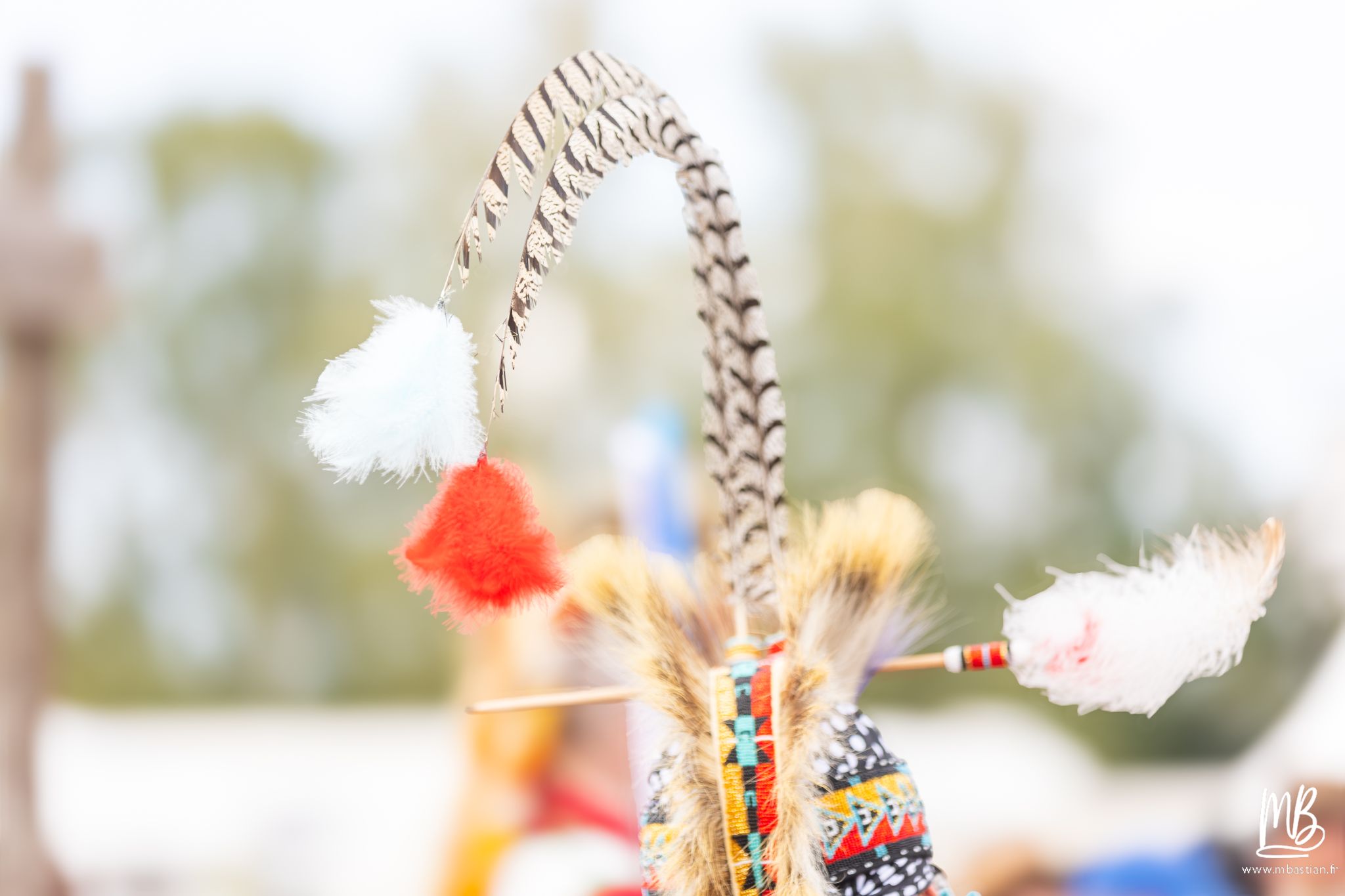 Festival Pow Wow - Steinbourg